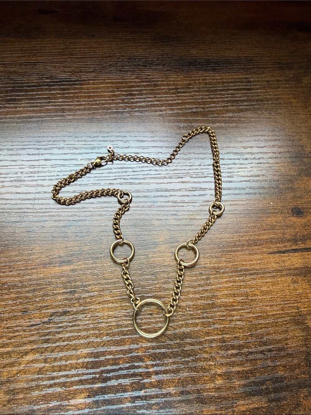 Little rooms Gold Circle Link Necklace - Women Jewelry